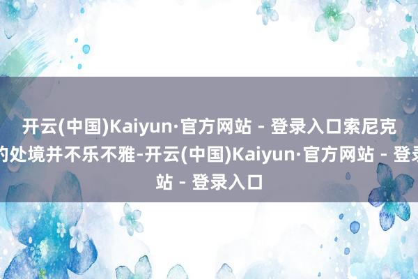 开云(中国)Kaiyun·官方网站 - 登录入口索尼克品牌的处境并不乐不雅-开云(中国)Kaiyun·官方网站 - 登录入口