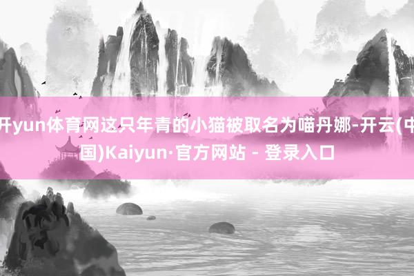 开yun体育网这只年青的小猫被取名为喵丹娜-开云(中国)Kaiyun·官方网站 - 登录入口