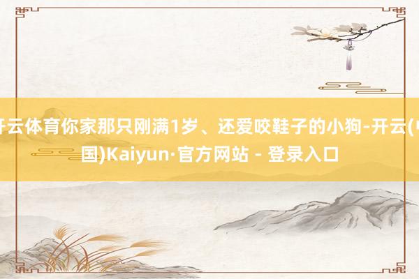 开云体育你家那只刚满1岁、还爱咬鞋子的小狗-开云(中国)Kaiyun·官方网站 - 登录入口
