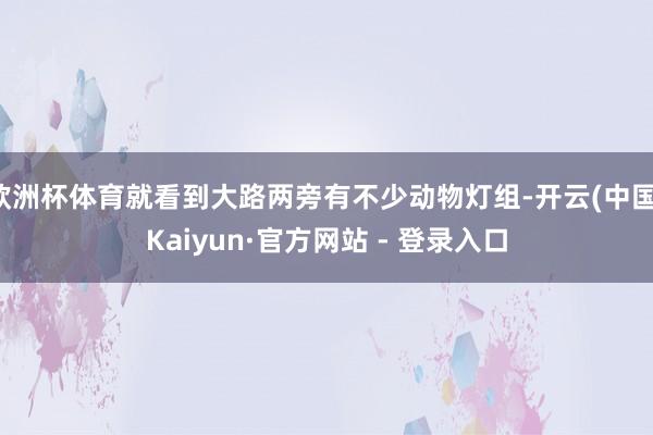 欧洲杯体育就看到大路两旁有不少动物灯组-开云(中国)Kaiyun·官方网站 - 登录入口